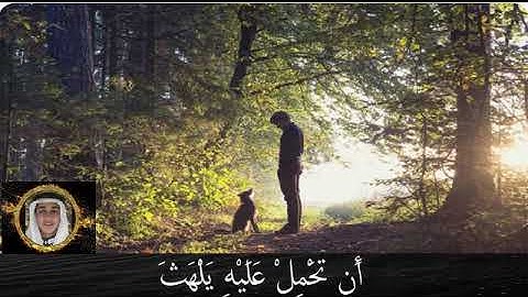 تلاوة رائعة للقارئ الحارث عبد الرحمن