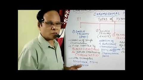 XII Bio Botany and Botany Chapter 3 Chromosomal basis of inheritance Mutation  III  Video   13