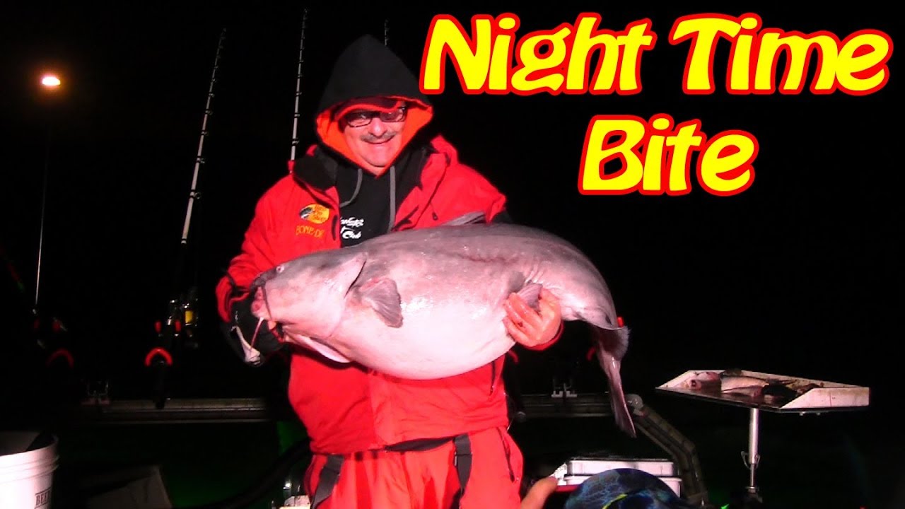 Targeting Flathead catfish at night but catching something else 