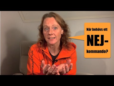 Video: När är en valp helt vaccinerad för Parvo?