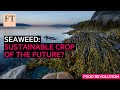 Seaweed: sustainable crop of the future?  | FT Food Revolution