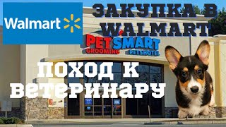 #175 Закупка В Walmart / Поход К Ветеринару / Влог США / МЫ В АМЕРИКЕ
