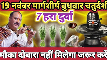 19 नवंबर मार्गशीर्ष बुधवार चतुर्दशी के दिन 7 हरा दूर्वा वाला उपाय जरुर करे || Pradeep Ji Mishra