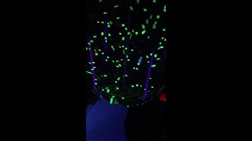 Principles of FUNDAMIX® Vibromixer