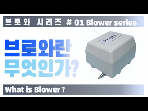 브로와 시리즈 #01 브로와란 무엇인가? | Blower series #01 What is Blower? |  | 물고기 키우기|구피키우기