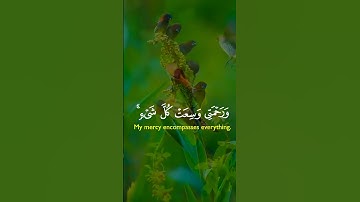 تلاوة خاشعه اسمع بقلبك 🍂🎧#قرآن #quran #اكسبلور #المصحف #راحة_نفسية #حالات_واتس #لايك #trending