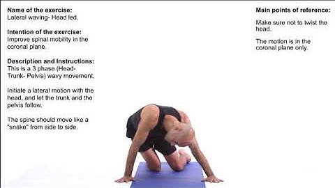 Spine mobility techniques