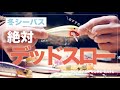 【極秘】なぜ我々が冬にも釣れてるかお話します！【シーバス】