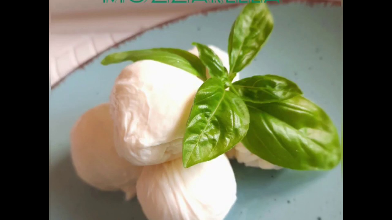 Mozzarella selbstgemacht mit Thermomix - YouTube