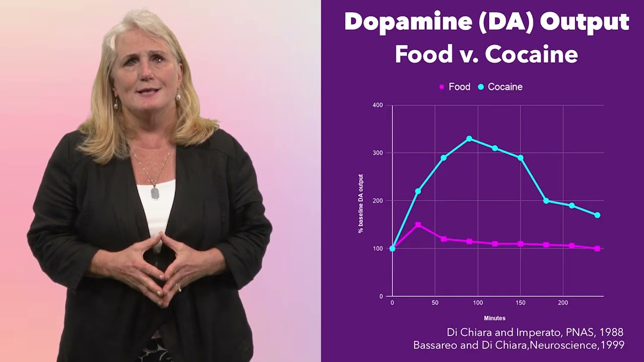 4.1 What is the Neurobiology of Addiction? – Addiction Treatment Course