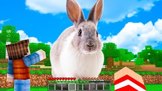 COELHO GIGANTE APARECEU NO MINECRAFT !