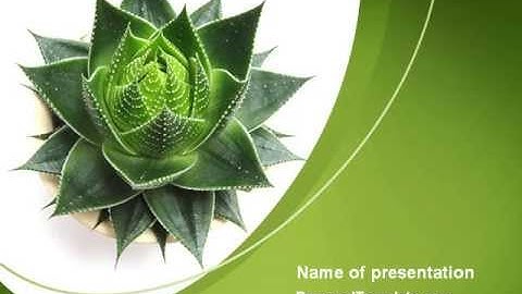 Aloe Plant PowerPoint Template by PoweredTemplate.com