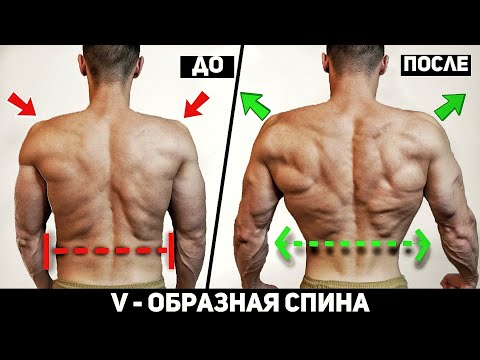 Широкая Спина 5 Лучших Упражнений