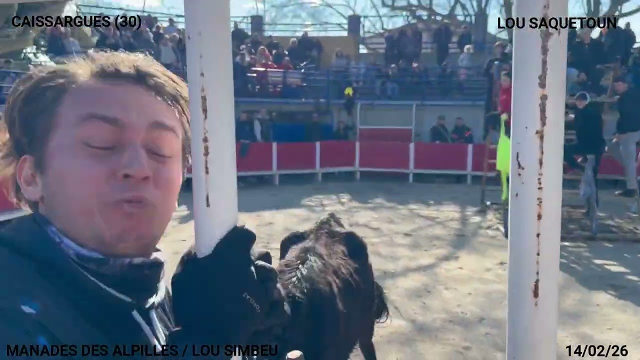 COURSE AU PLAN CAISSARGUES  MANADES DES ALPILLES ET LOU SIMBEU DU SAMEDI 14 02 26