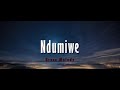 Bruce Melody - Ndumiwe (lyrics and English lyrics)