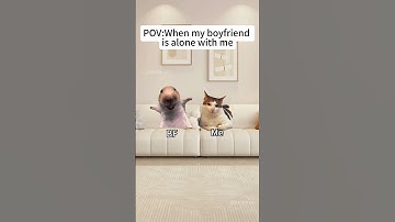 CAT MEMES🐱When my boyfriend is alone with me#catmemes #memes #funnymemes #funny  #relationship