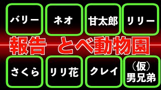 【感動】とべ動物園に新たな命誕生ライオンの赤ちゃんがやってきたクレイの飼育方針　A new life is born in Tobe Zoo! A baby lion has arrived!