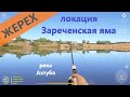 Русская рыбалка 4 - река Ахтуба - Жерех недалеко от базы