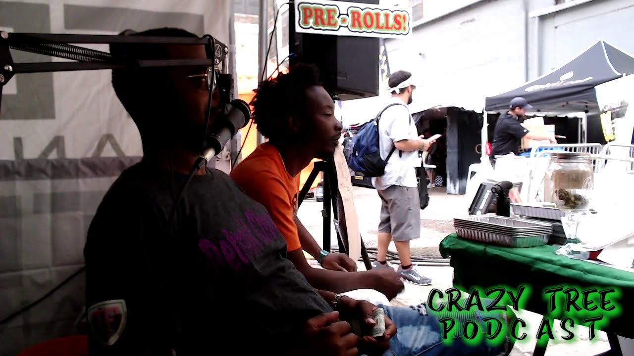 Crazy Tree at The Detroit High Times Cannabis Cup: Day 1