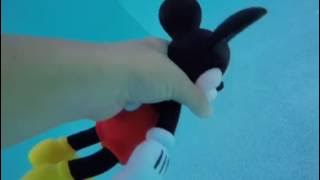 Mickey mouse goes to the pool