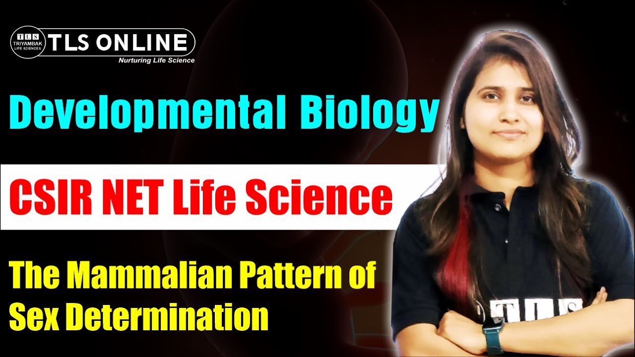 The Mammalian Pattern of Sex Determination | Developmental Biology | CSIR NET Life Science |