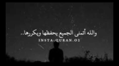 اية قرانيه عظيمة في سورة الانعام فكر بها وتمعن