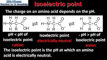 B.2 Isoelectric point of amino acids (SL)