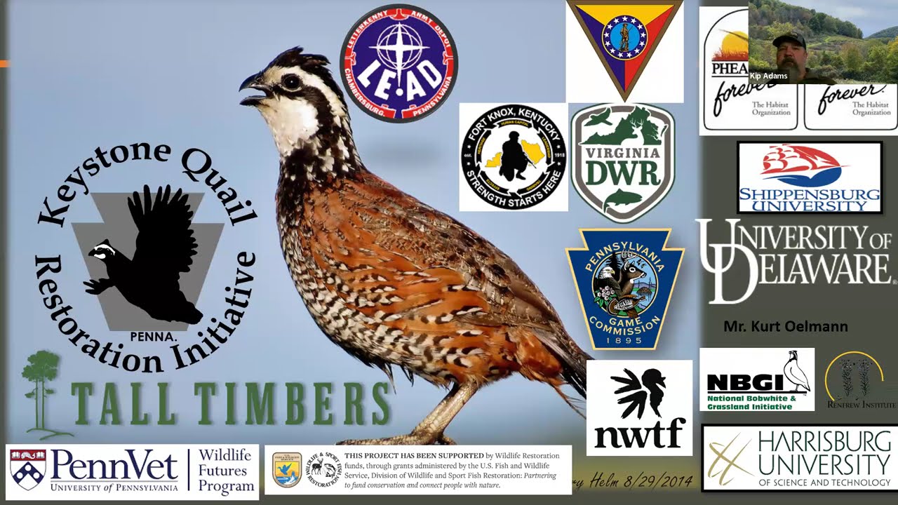 Restoring Old Field Habitat and Northern Bobwhite in Pennsylvania - Haley Keff and Eric Horsh