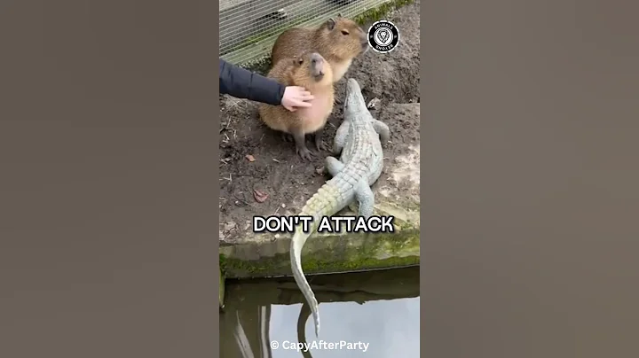 Why Predators DON'T EAT Capybaras!🤯