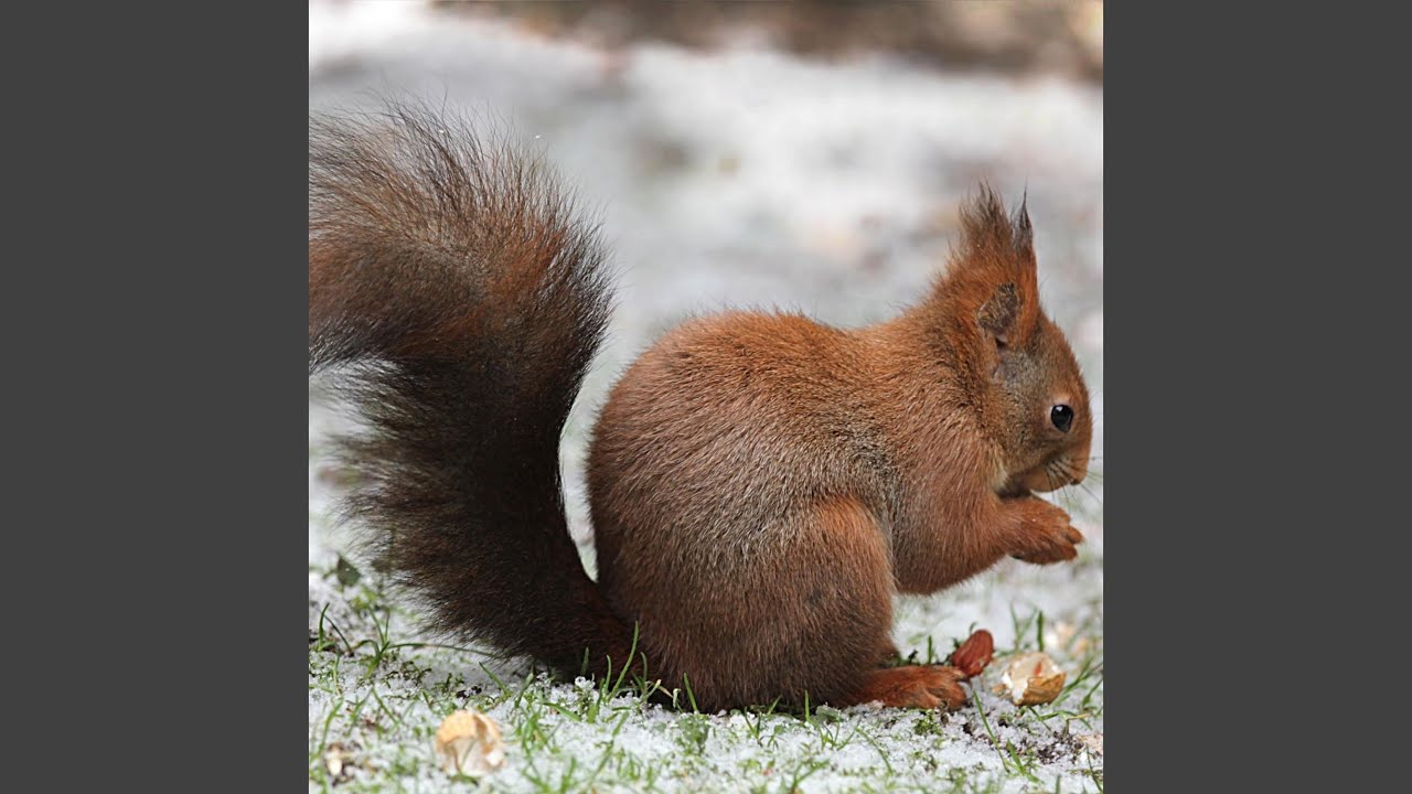 The Mire of Stancaster