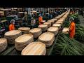 Inside the Giant Factory Making Biodegradable Palm Leaf Plates & Trays