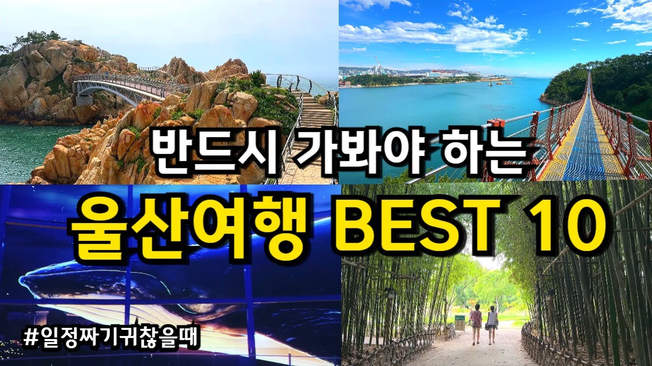 [국내여행] 반드시 가야 하는 울산 여행지 Best 10 (관광명소, 카페, 야경 포함)