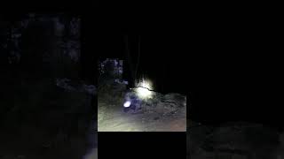 INSANE PARANORMAL EVIDENCE CAPTURED ON CAMERA on HAUNTED POINSETT BRIDGE #ugue #ghosts