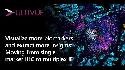 Visualize more biomarkers and extract more insights Moving from single marker IHC to multiplex IF