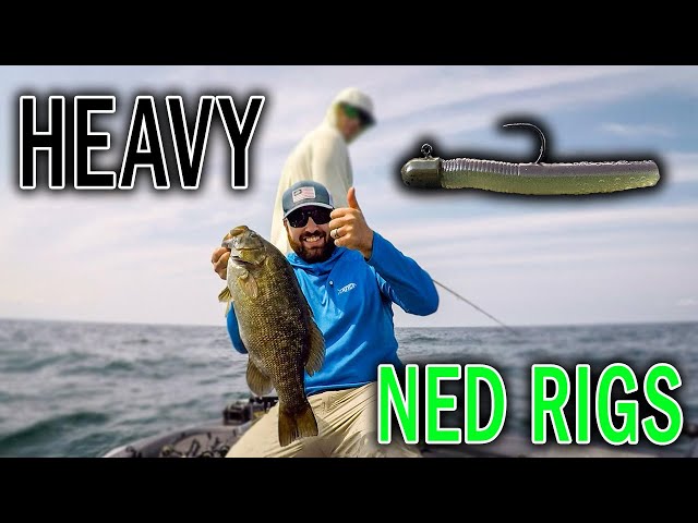 NED RIG for DEEP Water SMALLMOUTH BASS