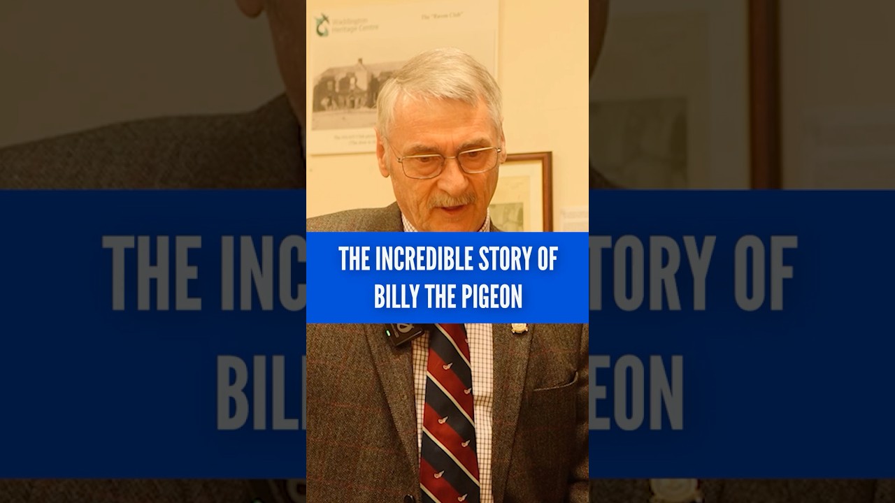 Билли — герой-голубь и военнопленный, изменивший телевидение | Королевские ВВС Уоддингтон 🇬🇧 