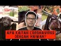 Apa Kaitan Coronavirus dengan Haiwan?