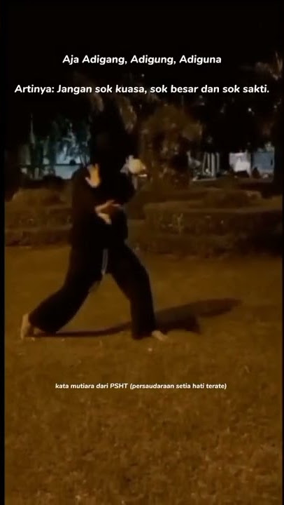 STORY WA KATA KATA MUTIARA PSHT