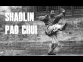 SHAOLIN PAO QUAN CANNON FIST (PART 5) 少林炮拳