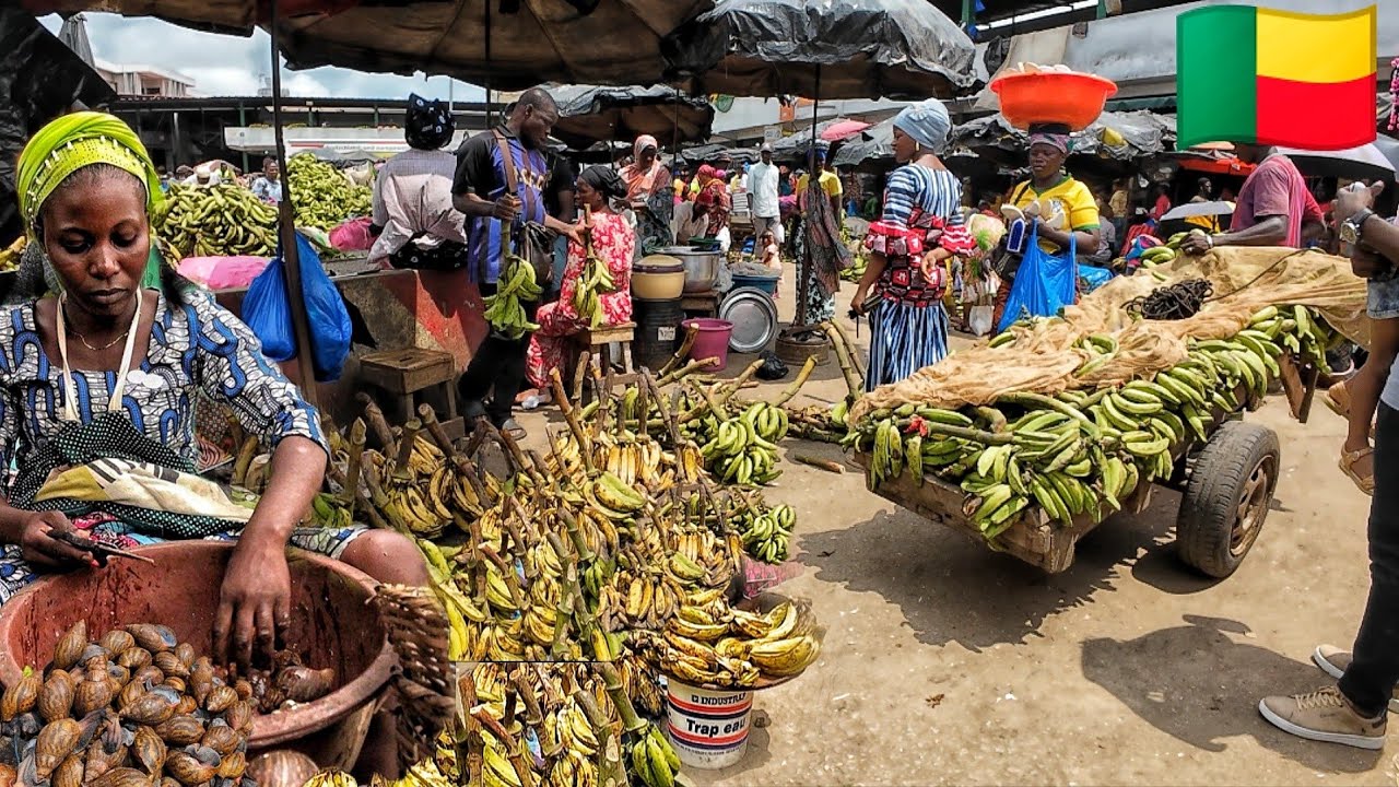 Cost of living in Benin 2024 .My $20 shopping in the biggest market in Cotonou Benin West African.