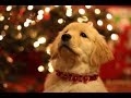 7 Best Cute & Funny NEW Christmas Commercials This Year | Christmas 2018