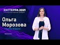 Бизнес на ладони | Ольга Морозова