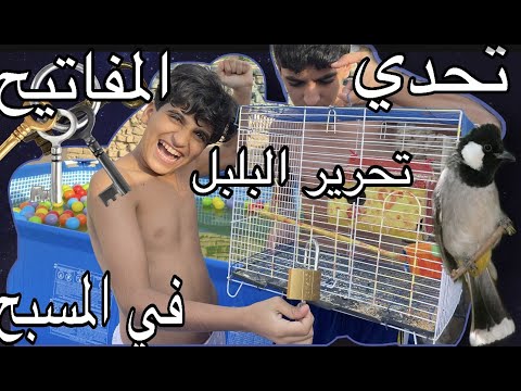 تحدي المفاتيح في المسبح منو يفتح قفص البلبل