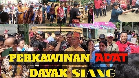 KAWIN ADAT SUKU DAYAK SIANG DAN DUSUN BAYAN