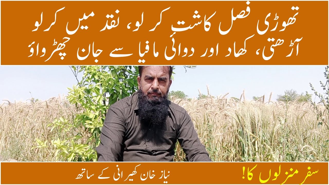suggestions to improve agriculture beneficial tip for farmers agriculture problems-Niaz khan kherani
