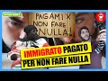 Immigrato si fa Pagare per non Fare Nulla - [Si Può Fare?] - theShow