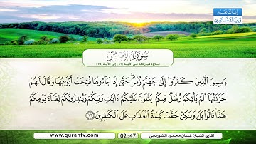 سورة الزمر | تلاوة مباركة من الآية 62 إلى الآية 75 | بصوت القارئ الشيخ غسان محمود الشوربجي