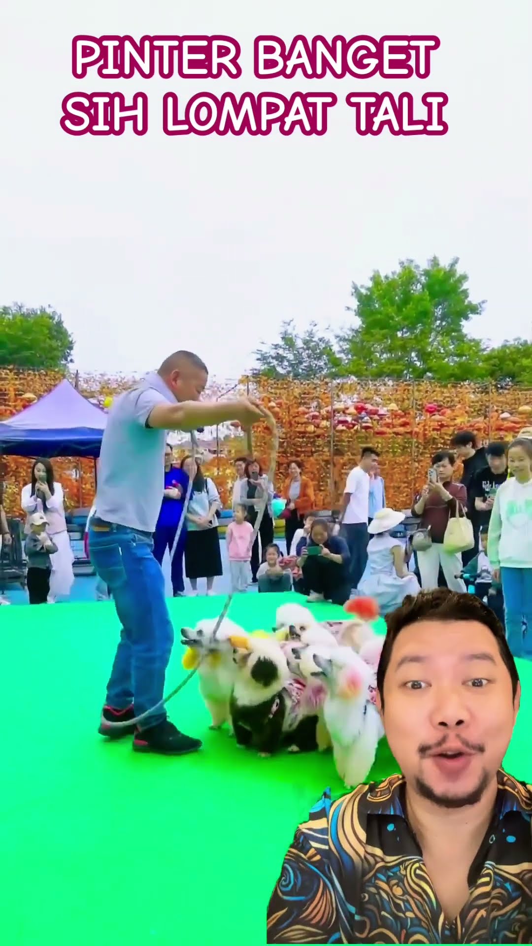 GUKGUK JAGO LOMPAT TALI!!!?! #funny #pets #animals #cute #lucu