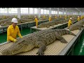 🐊Inside the Crocodile Leather Factory: From Egg to Ultra Luxury Product (Full Inside Process)