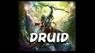 Dungeons and Dragons: The Druid